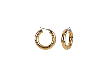 Gold Plated | Fashion Earrings